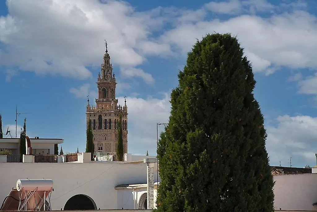 Increible Atico Con Vistas A La Giralda Apartment Seville Spain